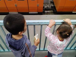img081.jpg