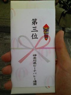 img027.jpg