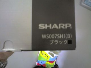 img082.jpg