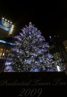 Prudential Tower's Christmas tree (HDR)