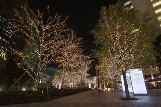 Akasaka Sacas Christmas illumination (HDR)