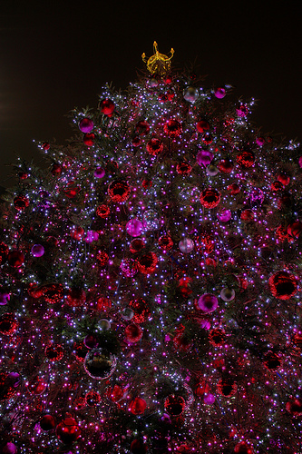 Purudential Tower Tree 2008 (HDR)