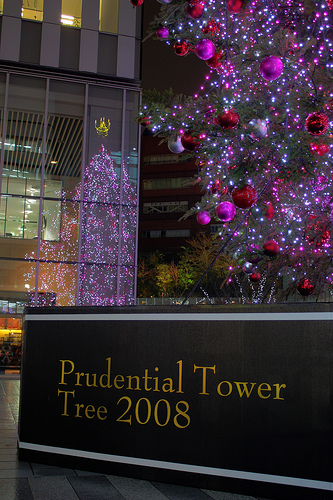Purudential Tower Tree 2008 (HDR)