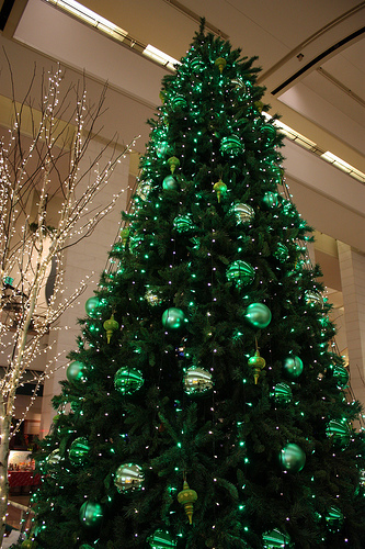 Ohsaki Illumination
