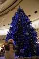 Ohsaki Illumination