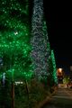 Ohsaki Illumination (HDR)
