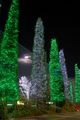 Ohsaki Illumination (HDR)