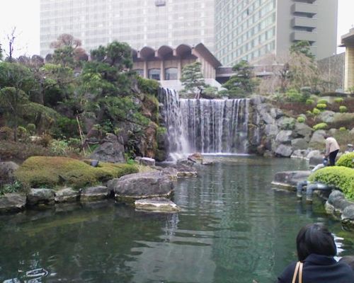 img338.jpg
