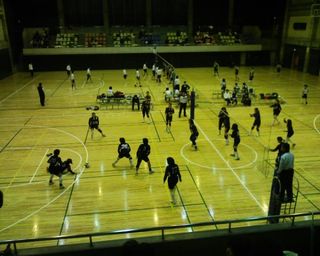 img213.jpg