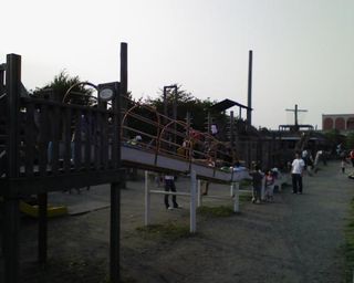 img142.jpg