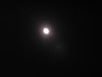 DSCN1872