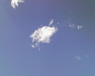 img121.jpg