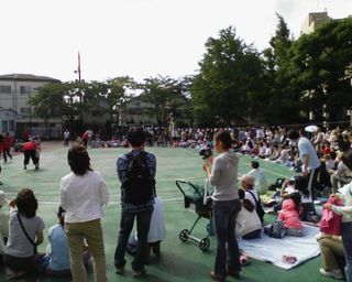 img117.jpg